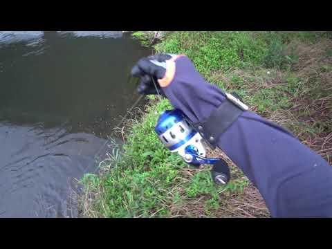 Видео: Охота с Рогаткой по реке SLINGSHOT FISHING