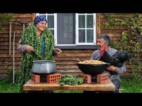 Видео: Горный Щавель: Сбор и Приготовление Плова