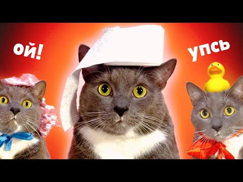 Видео: ЕСЛИ БЫ КОТИКИ ХОДИЛИ В ШКОЛУ - БУМАЖКИН