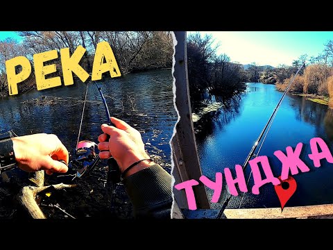 Видео: СЕЧ на КЕФАЛИ.ВЪЛШЕБНОТО МЯСТО?!