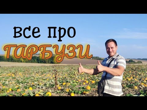 Видео: Все що знаю про вирощування Гарбузів