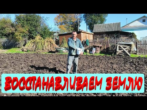 Видео: СОБИРАЕМ СЕМЕНА ТАБАКА. ВОССТАНАВЛИВАЕМ ЗЕМЛЮ. Первые работы сезона 2026. Наша ЖИЗНЬ В ДЕРЕВНЕ.