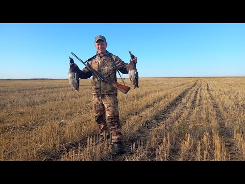 Видео: Две недели в полях, тысячи гуся и утки эльдорадо....
