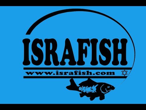 Видео: Семинар "Карпфишинг от А до Я", пляж Курси, 03 08 2019