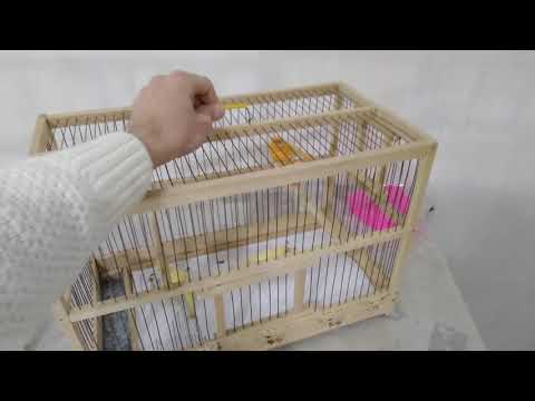 Видео: Клетки для канареек.Купил две эксклюзивные клетки ручной работы