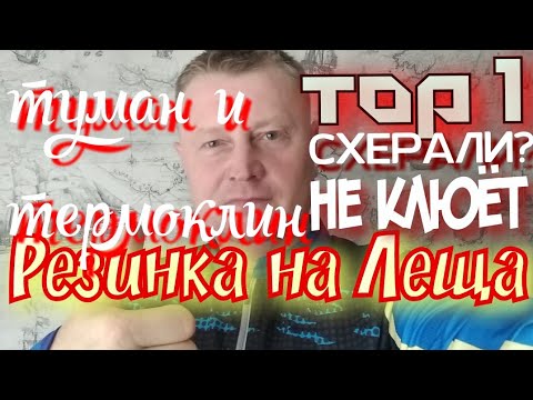 Видео: Резинка на Леща.Не Клюёт? Всё дело в Тумане либо в Термоклине.что с этим Делать.Ж...опа полная