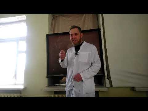 Видео: Лекция №3 "Эхографические параметры"