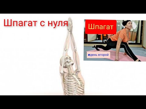 Видео: Шпагат с нуля в 47 лет. Второй день