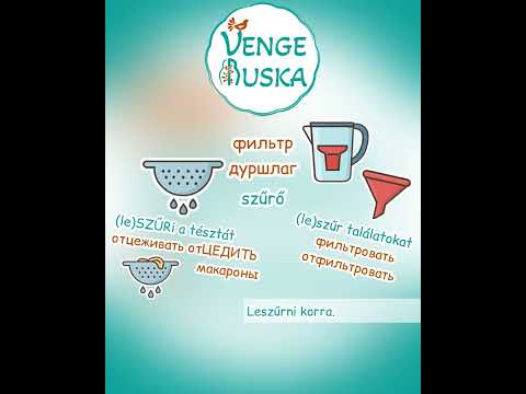 Видео: Szüret — Сбор винограда🍇 - #венгерский #learnhungarian #русскийязык #венгерскийязык #orosznyelv