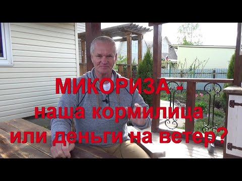 Видео: 63. МИКОРИЗА - чудесное средство или деньги на ветер?