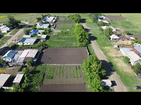 Видео: Романовка Алтайский край