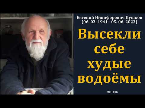 Видео: "Высекли себе худые водоёмы". Е. Н. Пушков. МСЦ ЕХБ