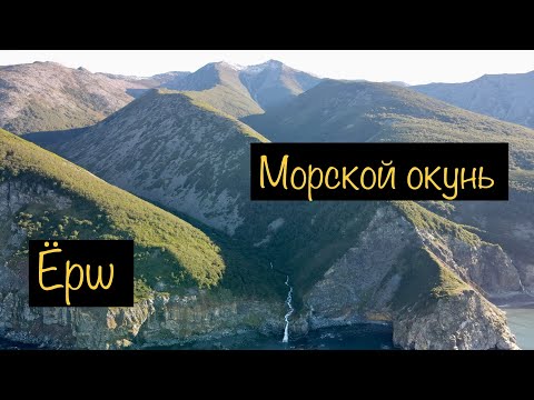 Видео: После морской рыбалки приготовил морского окуня. Магадан. Охотское море.