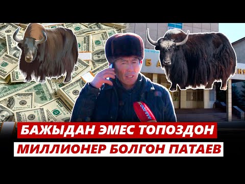 Видео: Чоң-Алайлык топоз миллионери