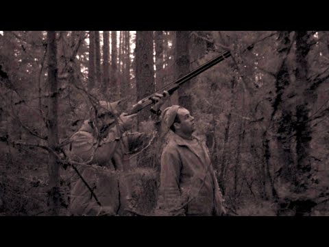 Видео: Глухарь на току в Тверской области. Охота по перу.