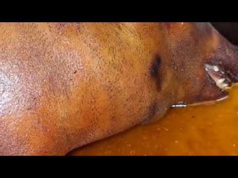 Видео: НЕ МОЛОЧНЫЙ ПОРОСЕНОК ЗАПЕЧЕННАЯ В ДУХОВКЕ.