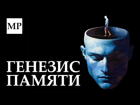 Видео: Где находится ваша личность?