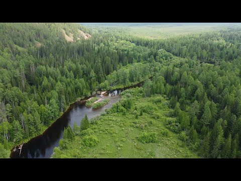 Видео: Хариус/Ленок/Рыбалка на таёжной речке