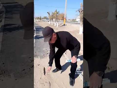 Видео: 9 ноября 2025 г.