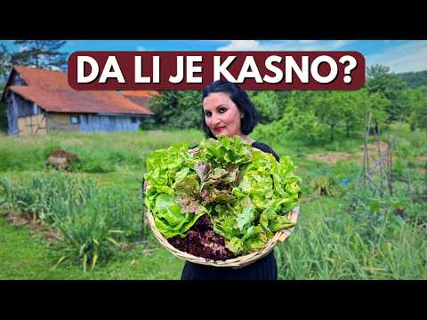 Видео: Когда самое подходящее время заняться садом?