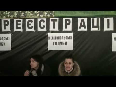 Видео: Голубей выставка КРЕМЕНЧУГ 24.11.18.1ч.