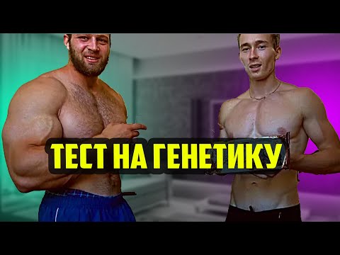 Видео: РАЗБОР ГЕНЕТИКИ - ТИПЫ И ВИДЫ МЫШЦ | КРУПНЫЕ И МЕЛКИЕ МЫШЦЫ | СКОЛЬКО ДЕЛАТЬ ПОВТОРЕНИЙ НА МЫШЦУ
