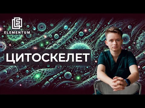 Видео: Полный разбор теории: цитоскелет | ЕГЭ по биологии | Elementum