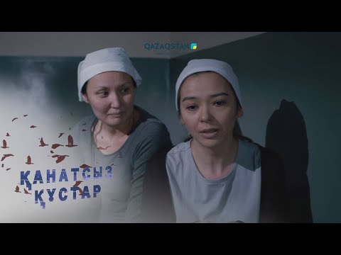 Видео: «Қанатсыз құстар-2». Телехикая. 17-бөлім