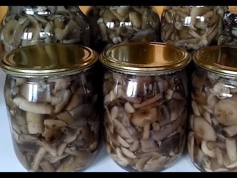 Видео: МАРИНОВАННЫЕ  ОПЯТА.       #опята#маринованные#