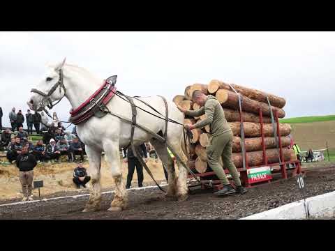 Видео: 28 април 2025 г.