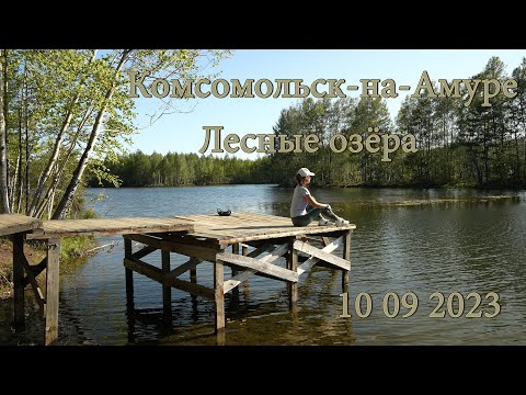 Видео: Лесные озёра 10 09 2023