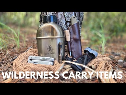 Видео: 7 обязательных вещей, которые я ВСЕГДА ношу с собой в лесу (раскрыты основные вещи для выживания!)