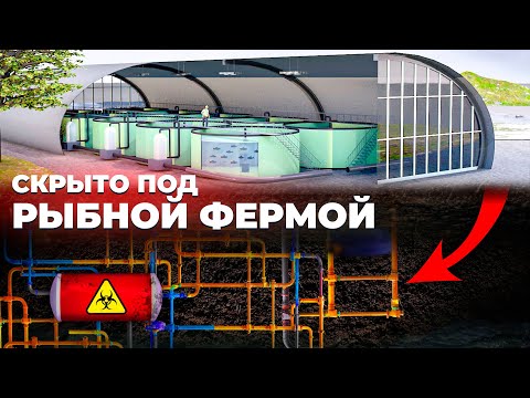 Видео: КИЛОМЕТРЫ ТРУБ. Как НА САМОМ ДЕЛЕ устроена Система Трубопроводов на Рыбной ферме УЗВ...