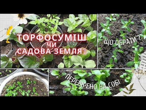 Видео: Який ГРУНТ ДЛЯ РОЗСАДИ краще? Професійні субстрати чи любительські, а може проста садова земля?