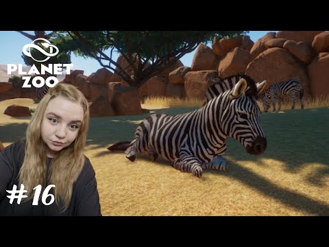 Видео: Размещаем много животных ➤Planet Zoo #16