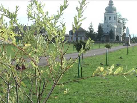 Видео: Вулиці села Маріямпіль 2012 10 15