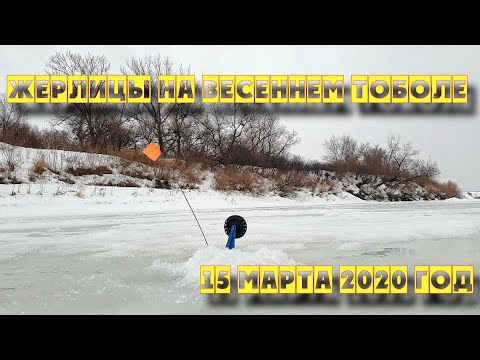 Видео: Ловля Щуки на Жерлицы  Весенний Тобол 2020