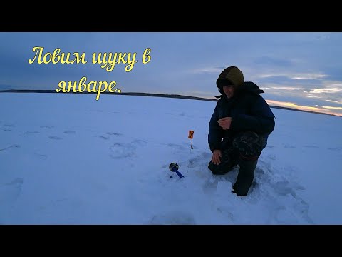 Видео: Семейный подряд на Аргазях.В конце января за щукой.