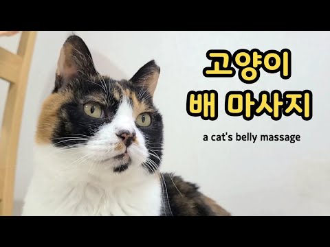 Видео: Как массировать живот, чтобы устранить заложенность кишечника (запор при мегаколоне)