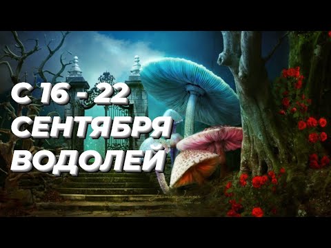 Видео: ❤️ВОДОЛЕЙ. ♒️С 16 - 22 сентября 2024.♒️