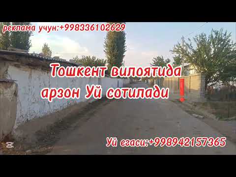 Видео: Тошкент вилоятида Уй сотилади