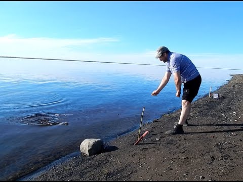Видео: Рыбалка,сиг на донки(закидушки)