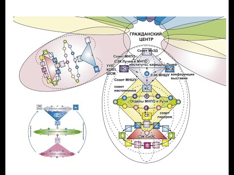 Видео: Как сотрудничать организациям. Цикл передач: И Свет во тьме светит. МНШУ