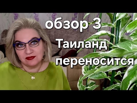 Видео: Таиланд переносится 