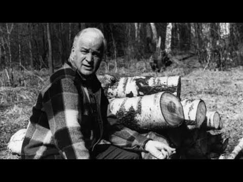 Видео: СТАНИСЛАВ РОСТОЦКИЙ. "А зори здесь тихие". Библейский сюжет