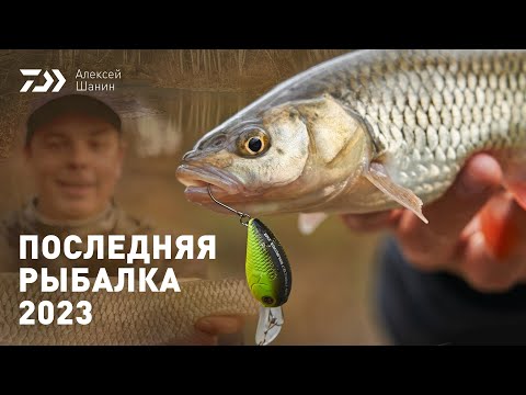 Видео: ПОСЛЕДНЯЯ РЫБАЛКА 2023 x АЛЕКСЕЙ ШАНИН