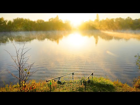 Видео: Вода КИПИТЬ ВІД РИБИ! Оце клює!