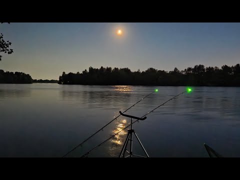 Видео: РИБОЛОВЛЯ НА ФІДЕР! ДЕСНА!!