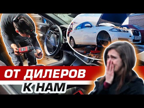 Видео: Хозяйка расплакалась от радости.Ягуары тоже остались довольны.Ауди после дилера.