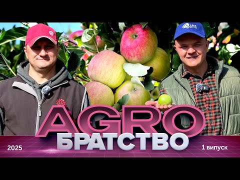 Видео: Чи може яблуневий сад приносити прибутки? | АгроБратство LNZ